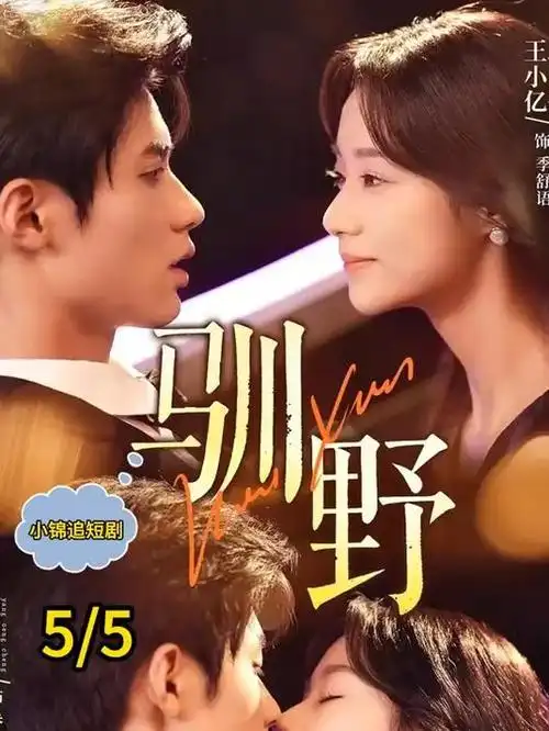 苹果影院精品电视剧雾起南山海报